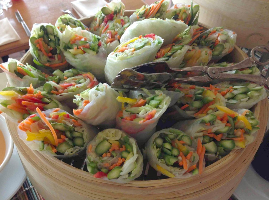 spring-roll-oystercatchers