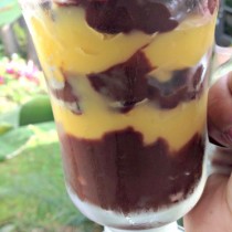 National Chocolate Parfait Day | Chocolate & Vanilla Pudding Parfait