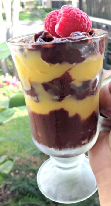 National Chocolate Parfait Day | Chocolate & Vanilla Pudding Parfait