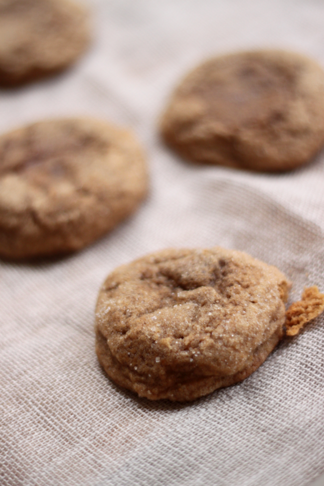 National Gingersnap Day | Gingersnap Cookies