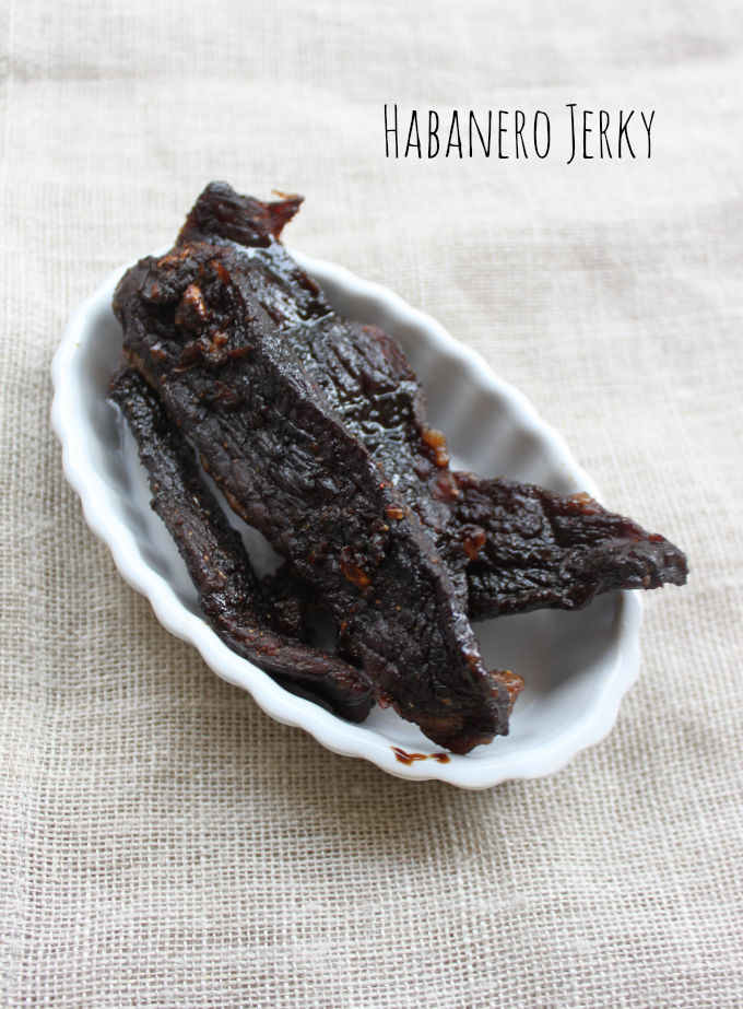 National Jerky Day | Teriyaki Habanero Jerky