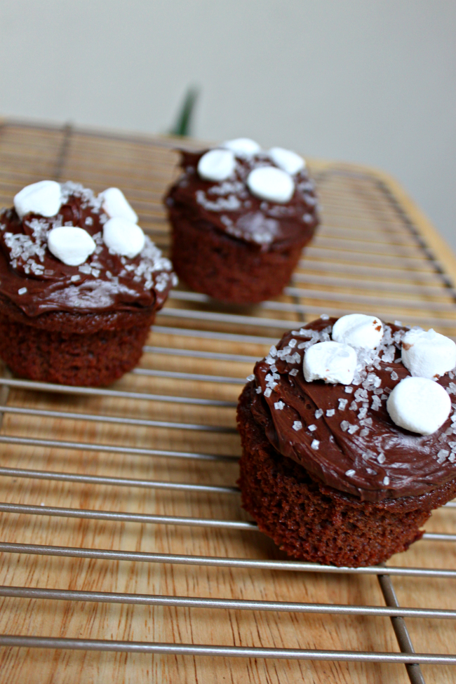 National Rocky Road Ice Cream Day | Rocky Road Cupcakes