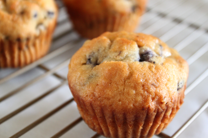 National Blueberry Muffin Day | Jumbo Blueberry Muffins