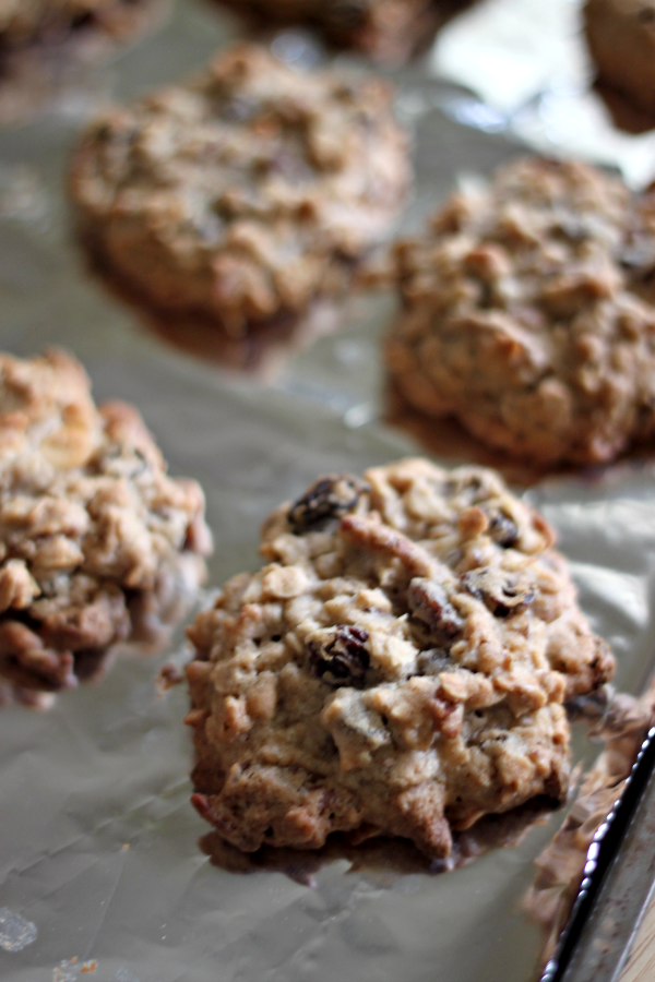 National Pecan Cookie Day | Raisin Pecan Oatmeal Cookies