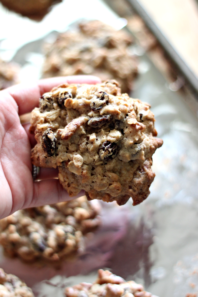 National Pecan Cookie Day | Raisin Pecan Oatmeal Cookies