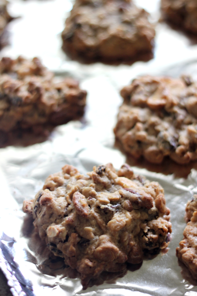 National White Chocolate Day | Raisin Pecan Oatmeal Cookies with White Chocolate