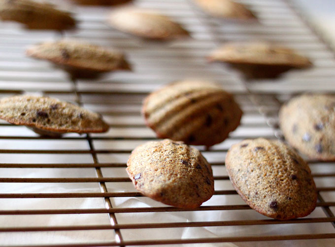 National Espresso Day | Espresso Chip Madeleines