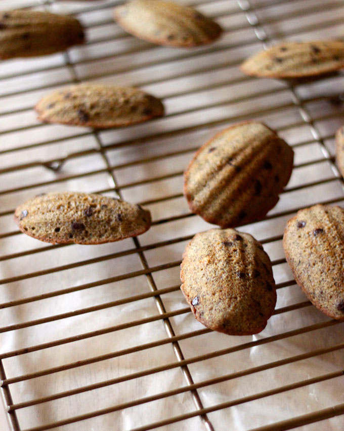 Hazelnut madeleines with frangelico cream