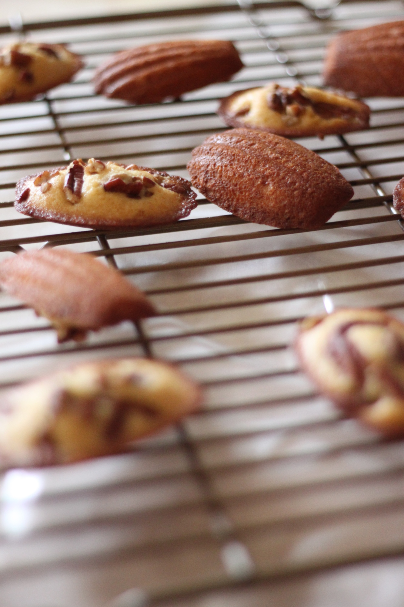 National Maple Syrup Day | Grade B Maple Syrup Madeleines