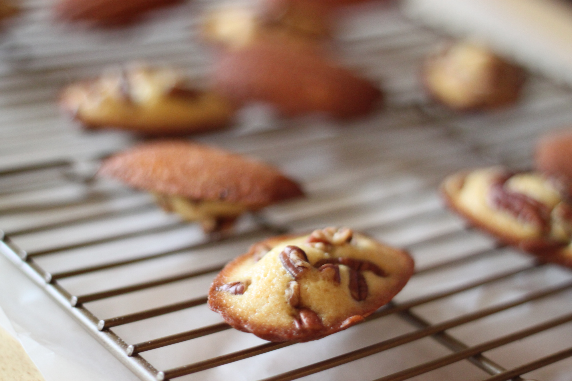 National Maple Syrup Day | Grade B Maple Syrup Madeleines