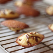 National Maple Syrup Day | Grade B Maple Syrup Madeleines