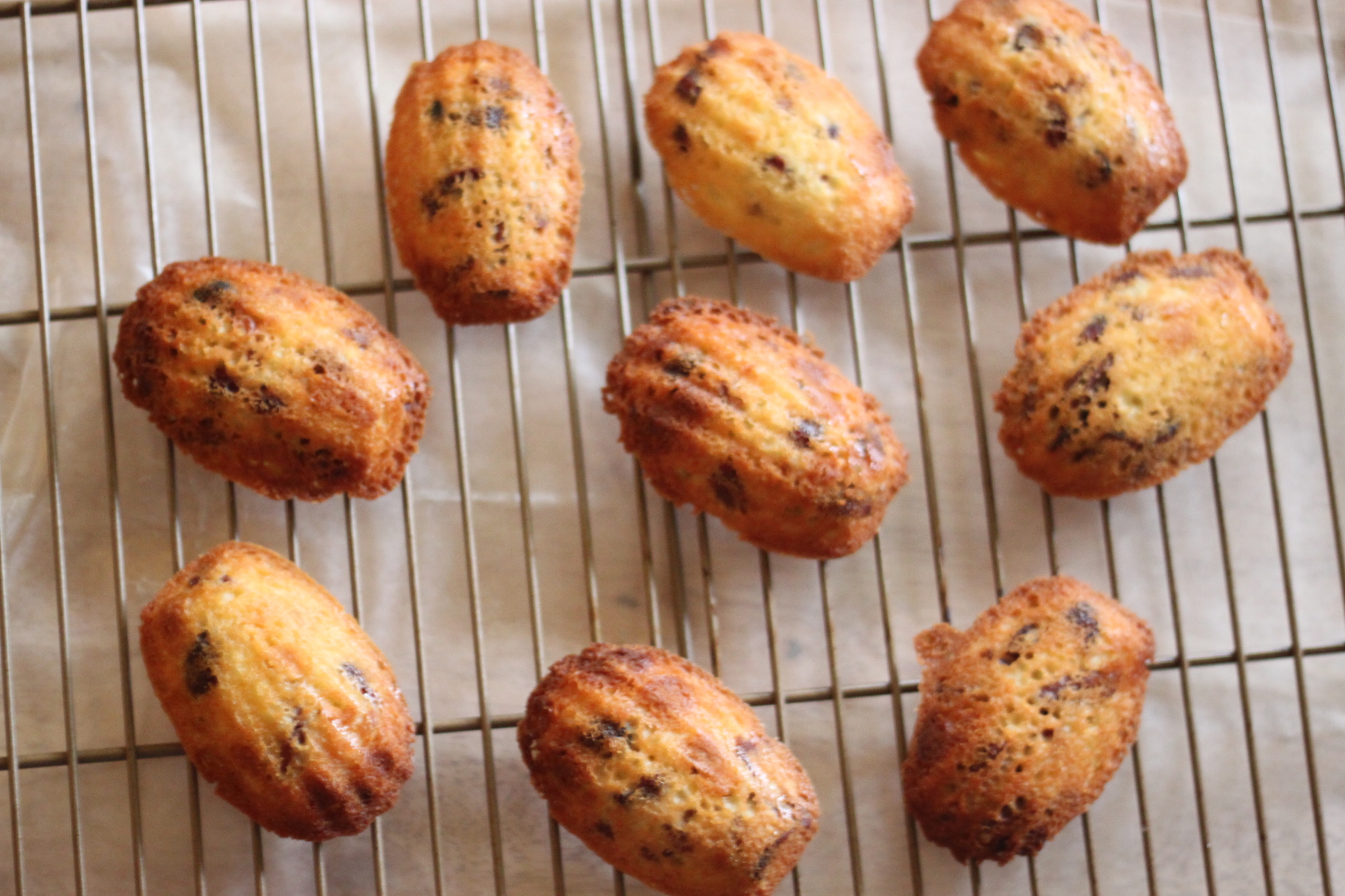 National Cocoa Day | White Chocolate, Pecan, and Cranberry Madeleines