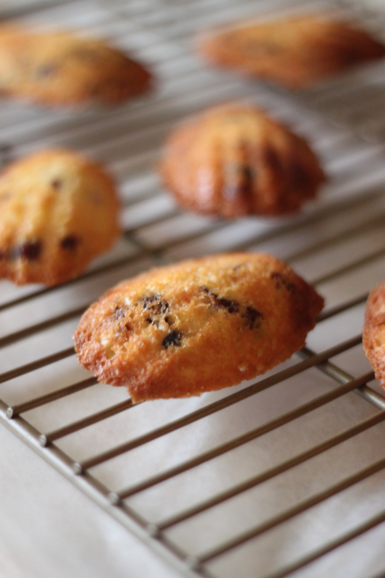National Cocoa Day | White Chocolate, Pecan, and Cranberry Madeleines