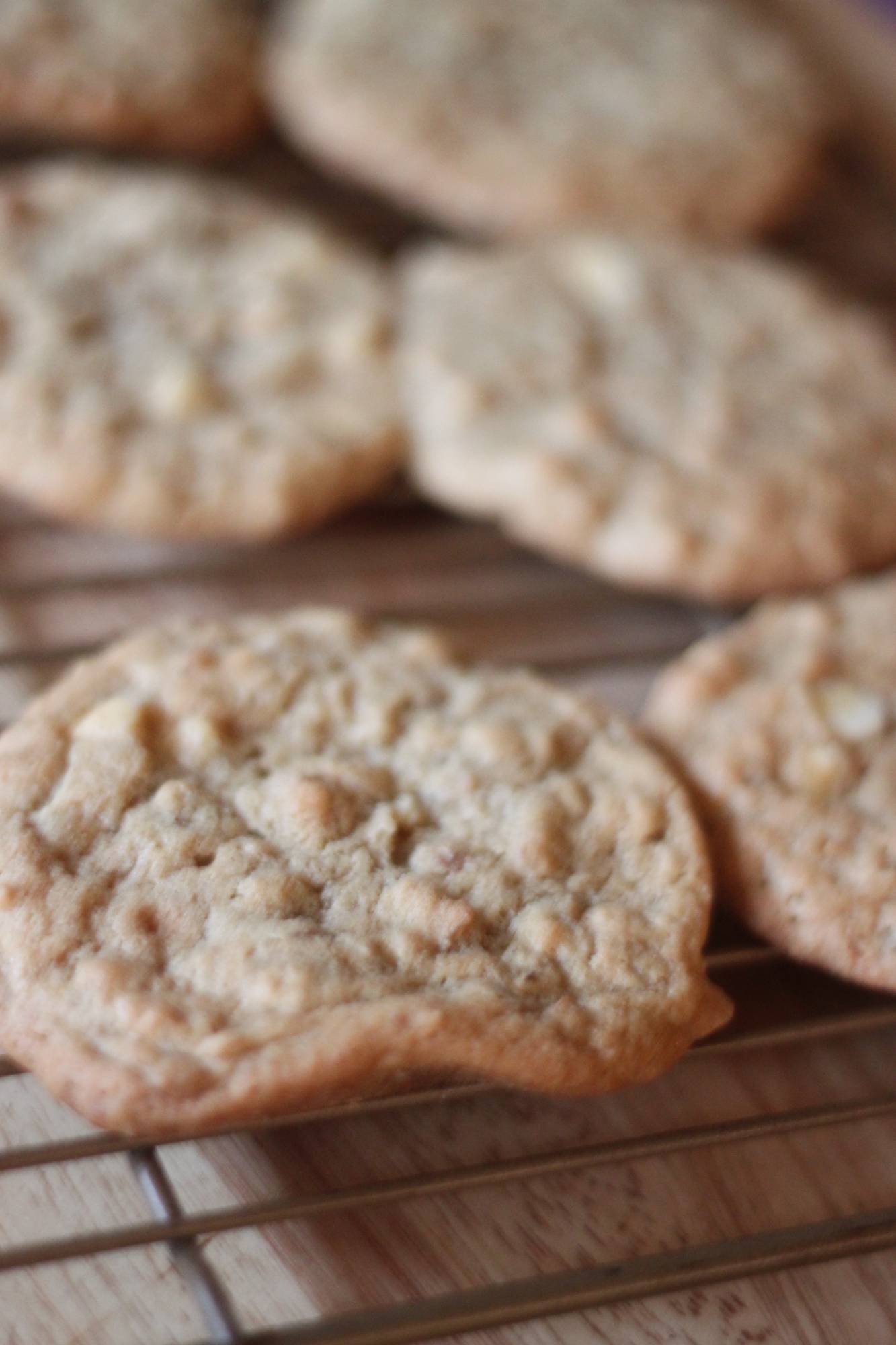 National Cookie Day | Cowboy Cookies