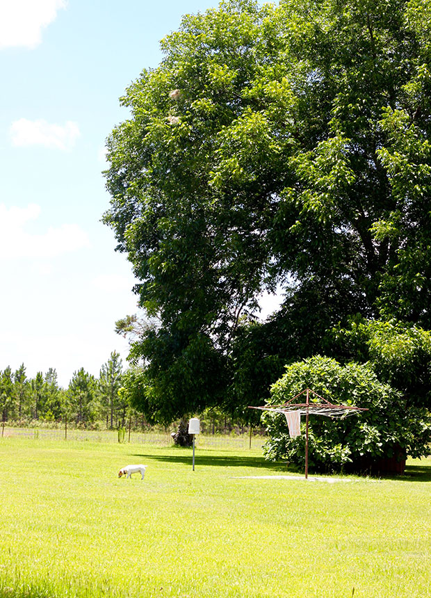 farm house in Nashville, GA