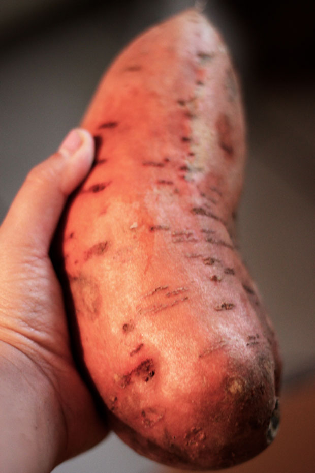 sweet-potato