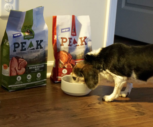 Rachael Ray Nutrish PEAK dog food