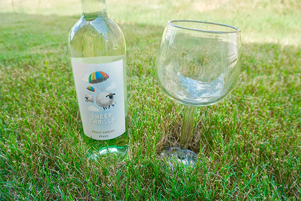 Sheep Thrills pinot grigio