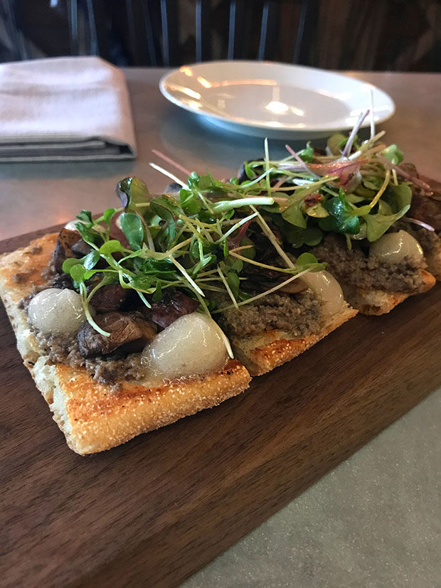 rooster and the till tampa mushroom tartine