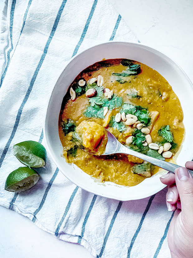 Butternut Squash Lentil Curry - The Foodie Patootie